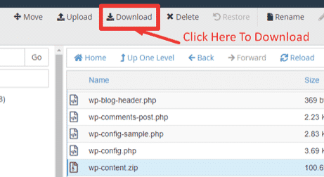 WordPress Blog का Backup कैसे ले ? (बिना किसी plugin का इस्तेमाल किये) - tegory%