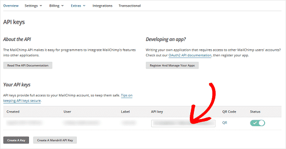 MailChimp Subscribe Form kaise banate hai Wordpress me - Wordpress